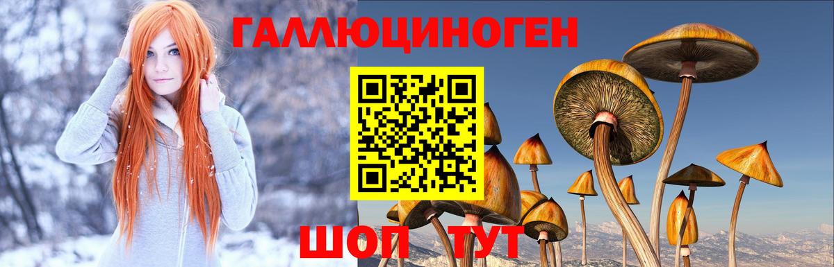 Галлюциногенные грибы мухоморы Семёнов