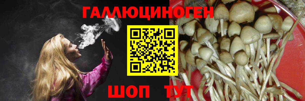 Семёнов  купить  цена  Вход с VPN  Псилоцибиновые грибы мухоморы 